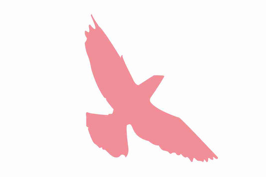 Bird protection sticker 10-50 cm LH-VOG-70-21, light pink color, made of weatherproof plastic