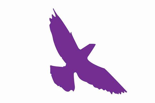 Bird protection sticker 10-50 cm LH-VOG-70-34, purple color, made of weatherproof plastic