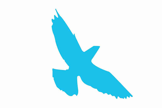 Bird protection sticker 10-50 cm LH-VOG-70-50, light blue color, made of weatherproof plastic