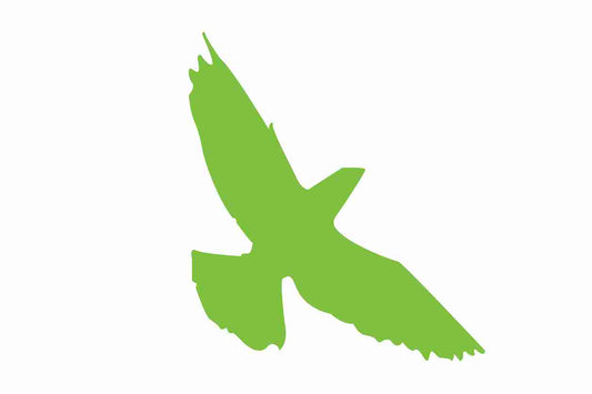 Bird protection sticker 10-50 cm LH-VOG-70-67, green color, made of weatherproof plastic