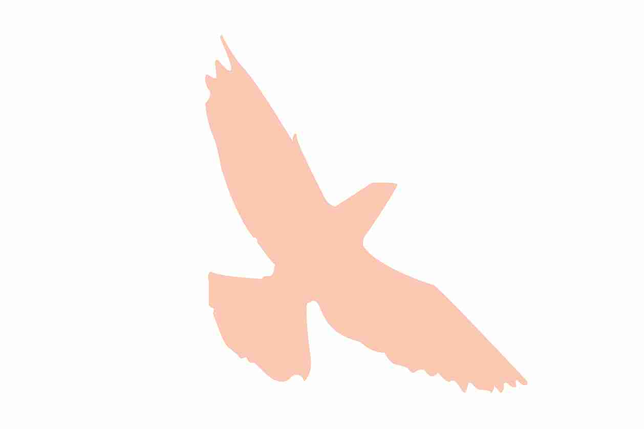 Bird protection sticker 10-50 cm LH-VOG-70-811, light orange color, made of weatherproof plastic