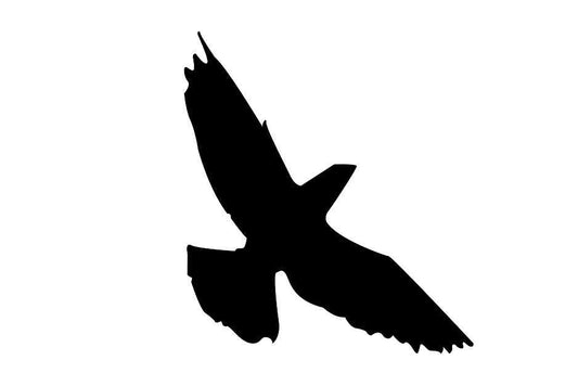 Bird protection sticker 10-50 cm LH-VOG-70-88, black color, made of weatherproof plastic