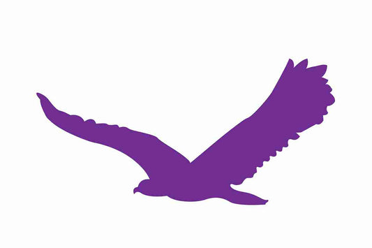 Bird protection sticker 10-50 cm LH-VOG-80-34, purple color, made of weatherproof plastic
