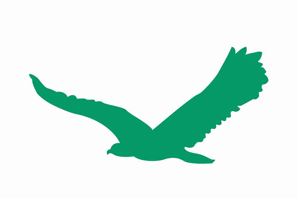 Bird protection sticker 60-100 cm LH-VOG-80-54, dark green color, made of weatherproof plastic