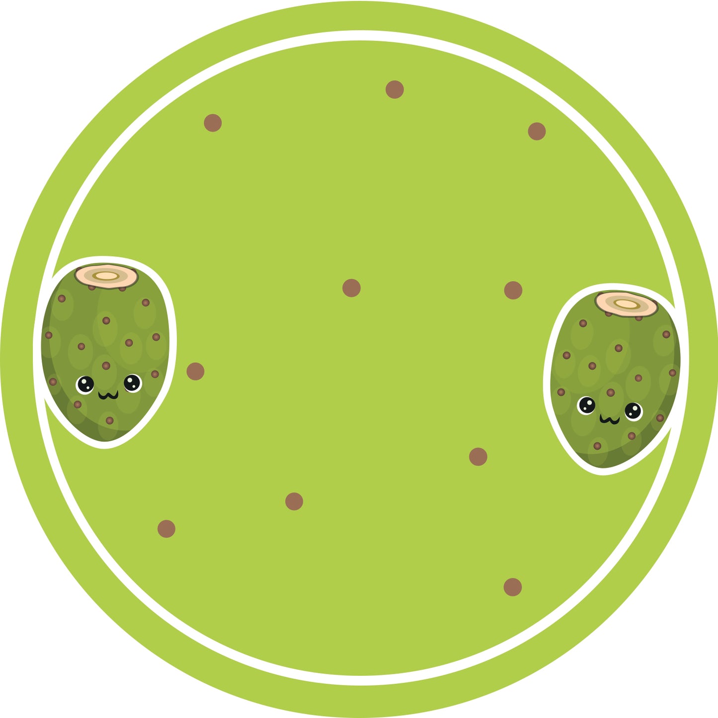 Jam stickers, preserving lables, household lables, round shape labels with matte finish LHMAR17570-Prickly Pear