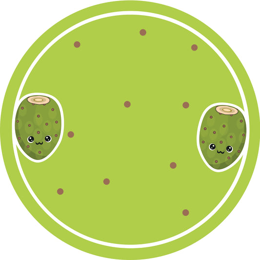 Jam stickers, preserving lables, household lables, round shape labels with matte finish LHMAR17570-Prickly Pear