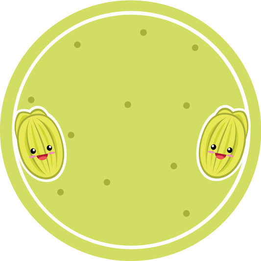 Jam stickers, preserving lables, household lables, round shape labels with matte finish LHMAR17750-Starfruit