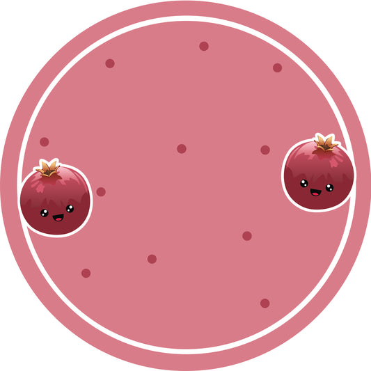 Jam stickers, preserving lables, household lables, round shape labels with matte finish LHMAR17830-Pomegranate